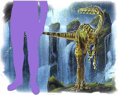 Троодон, один из самых умных динозавр